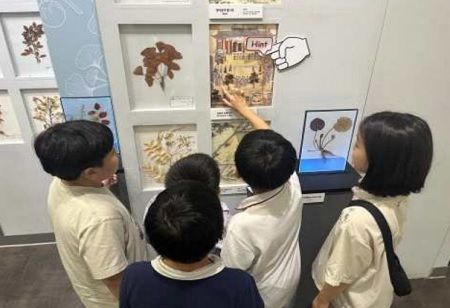 Inclusive Heritage Learning Opens New Skill and Job Pathways in Korea