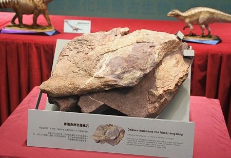 New Evidence of Dinosaurs found in Hong Kong