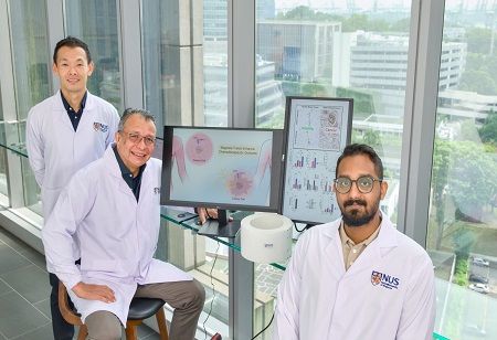 NUS Researchers Improve Chemotherapy with Magnetic Field Pulses